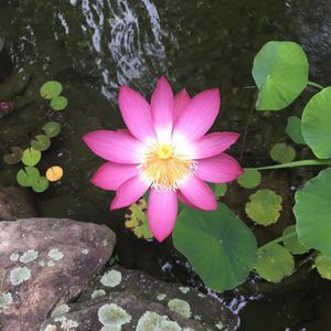 Meet your Posher, Barbara